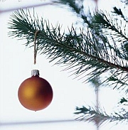 Bővebben: A karácsonyfa eredete